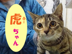 2018.1お友達 フーちゃん