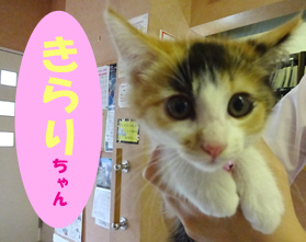 7月お友達 きらりちゃん