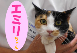 2020.9お友達エミリチャン