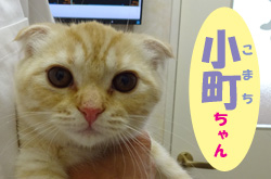 2018.5お友達 小町ちゃん