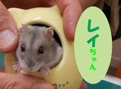 2020.10レイ
