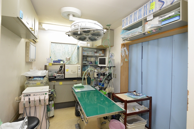 手術室。手術は吸入麻酔を使って行われます。心電図をつけて細心の注意を払っています。
