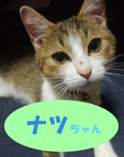 10月おともだち ナツちゃん