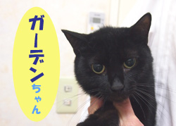 2019.11お友達ガーデンチャン