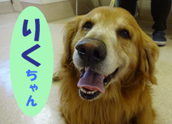 2018.6お友達りくちゃん