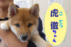 2020.6お友達コテツチャン